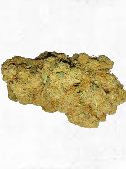 G13 (CALIFORNIA GENETICS)